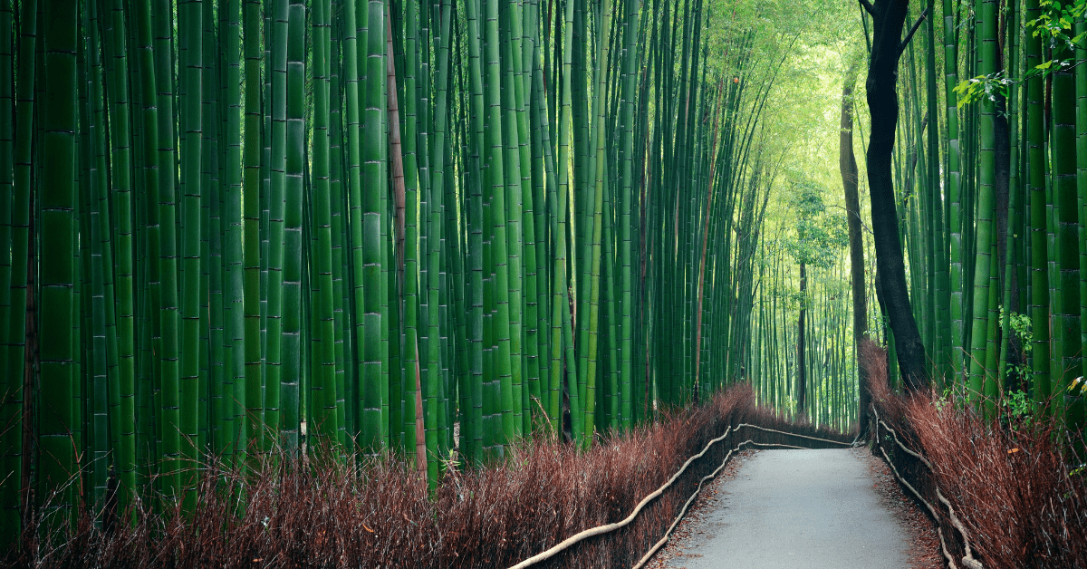 ESG Challenges and Opportunities in Chinese Equities - Cambridge Associates